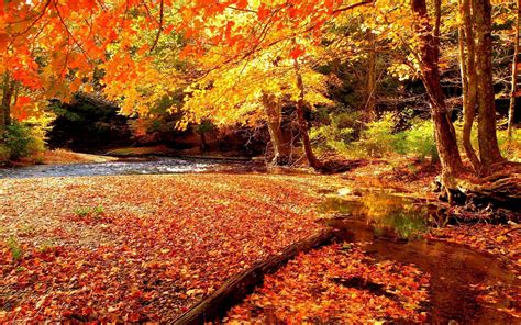 free autumn background wallpaper|free autumn backgrounds for computer.